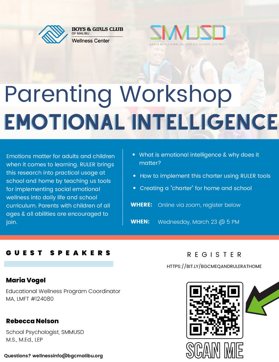 Parenting Workshop - Emotional Intelligence